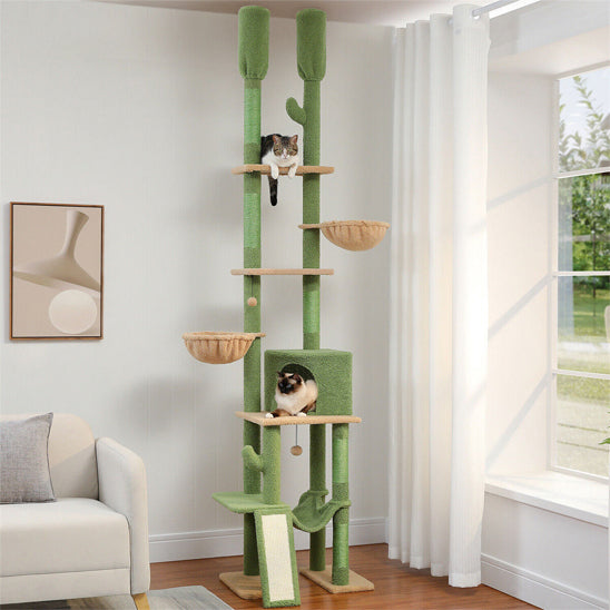 arbre à chat double