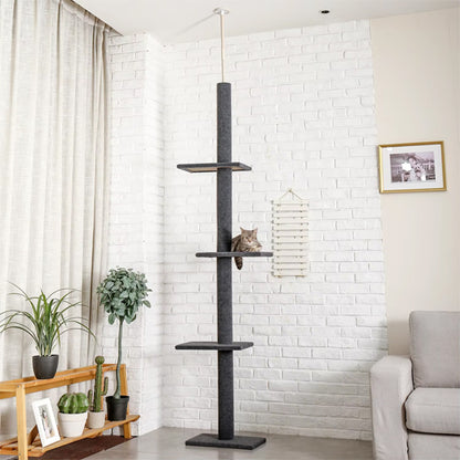 arbre à chat gris 