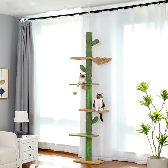 arbre à chat vert et beige