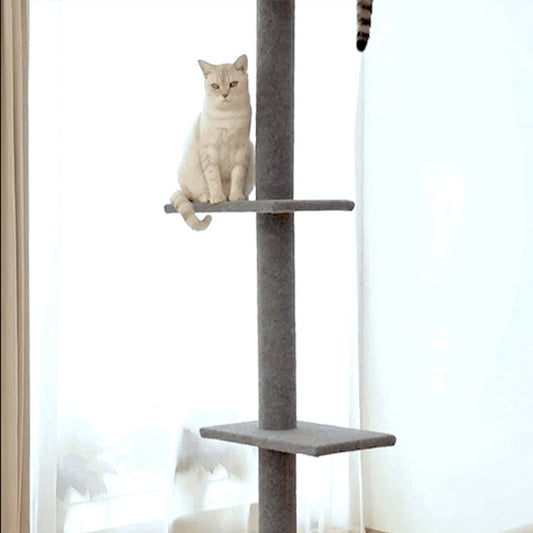 Arbre à chat  confortable