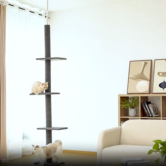 Arbre à chat haux