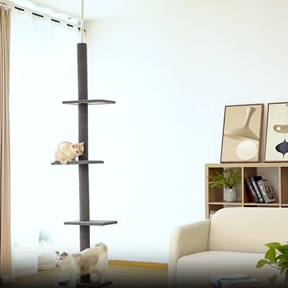 Arbre à chat haux