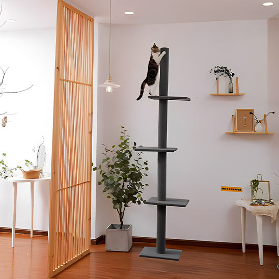 Arbre à chat long