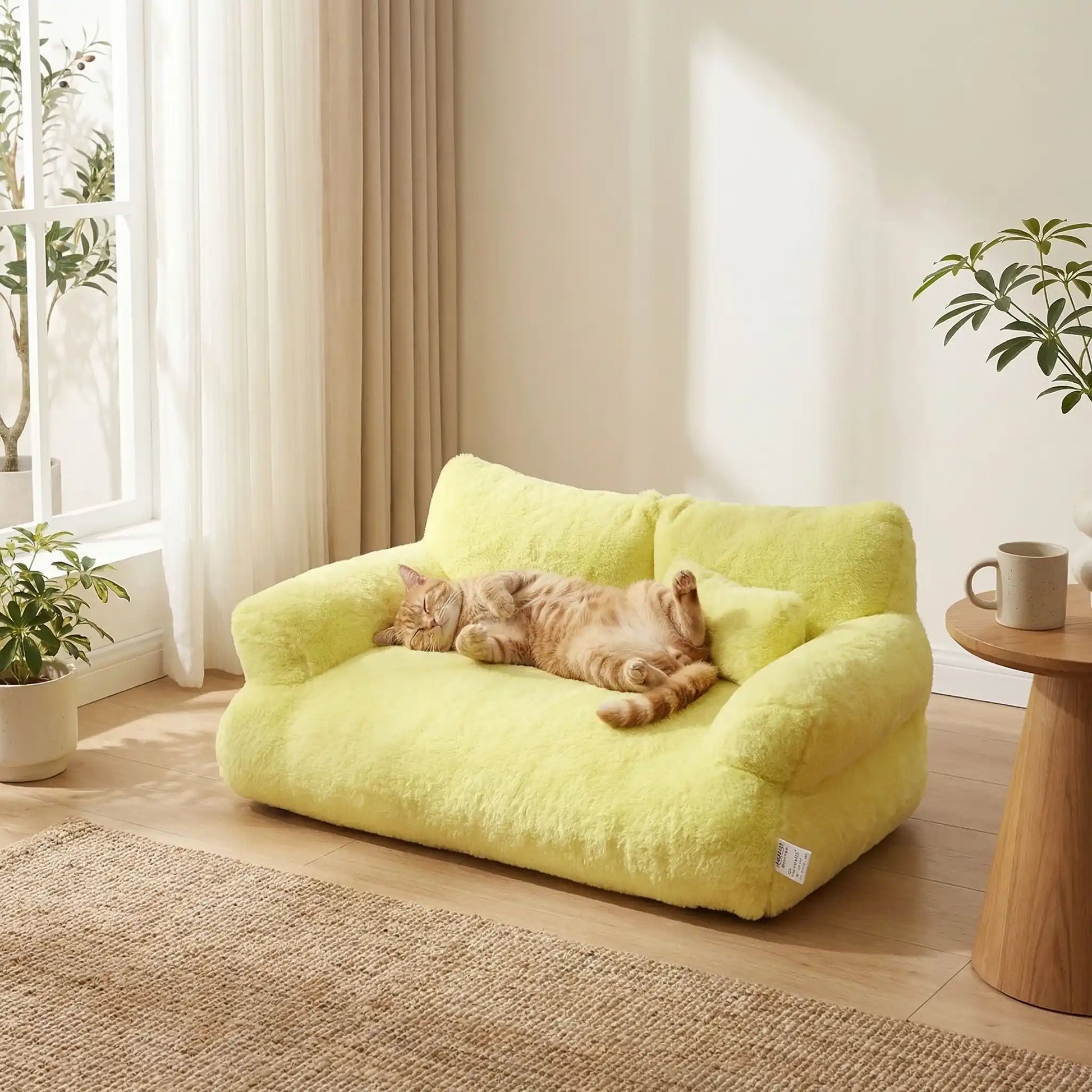 Canapé chat Jaune Soleil ConfoCanap avec chat qui dort