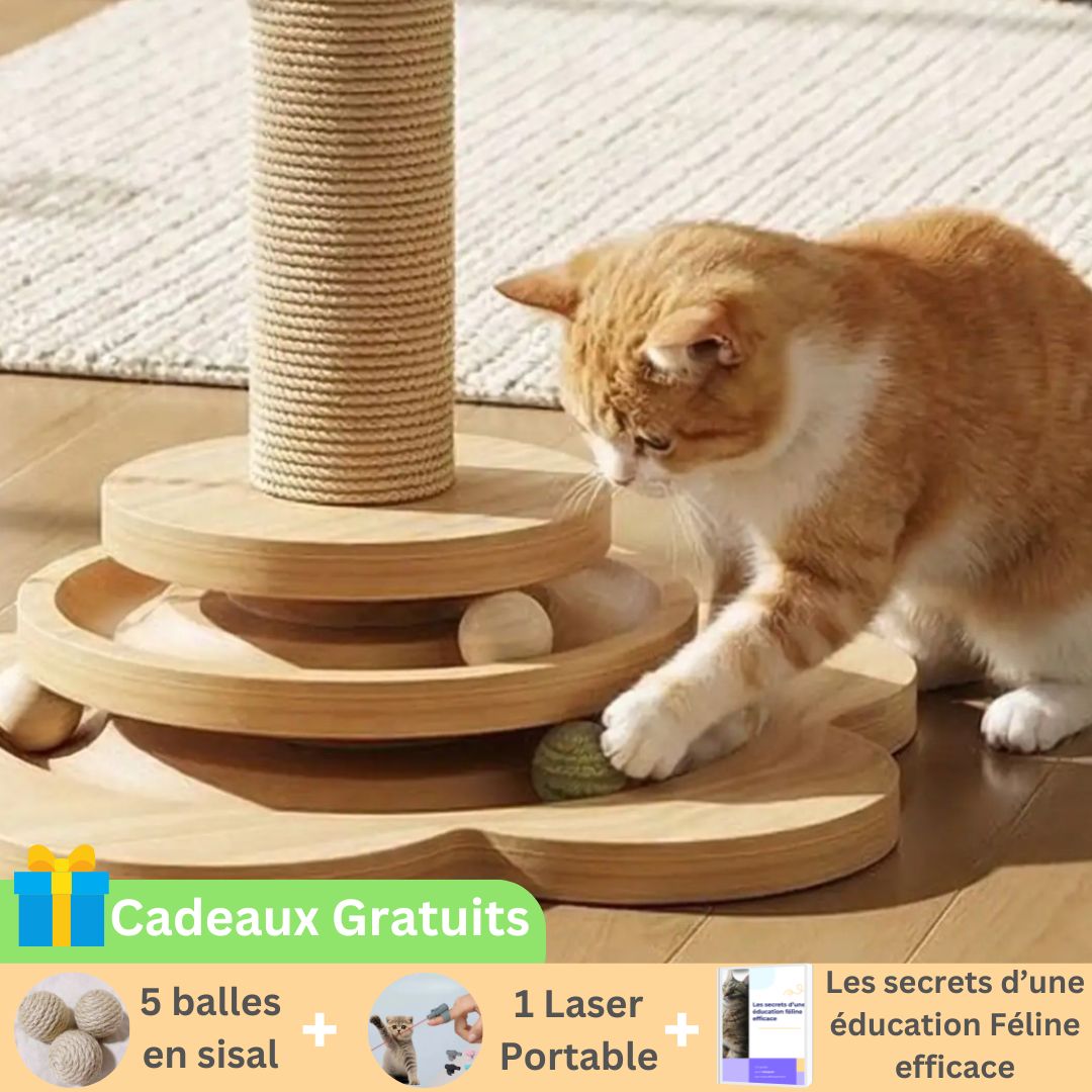 Griffoir Interactif | ZenWood™