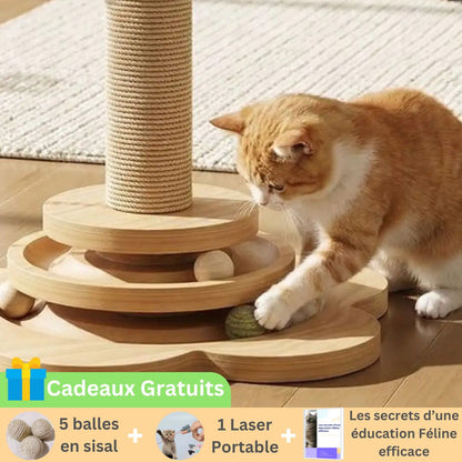 Griffoir Interactif | ZenWood™