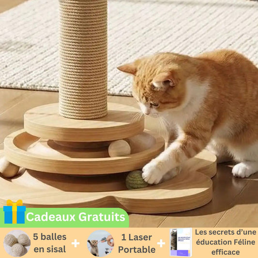 Griffoir Interactif | ZenWood™