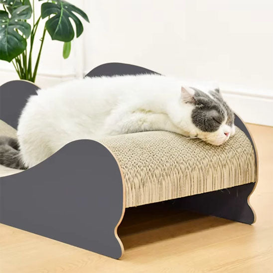 Griffoir Chat Carton  DuraPaws beau dodo