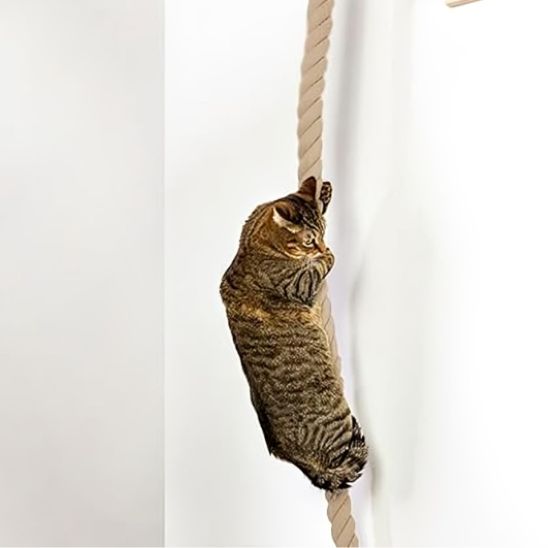Griffoir Mural Chat  Design Protect sisal