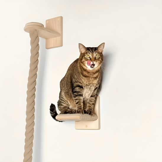 Griffoir Mural Chat  Design Protect 4