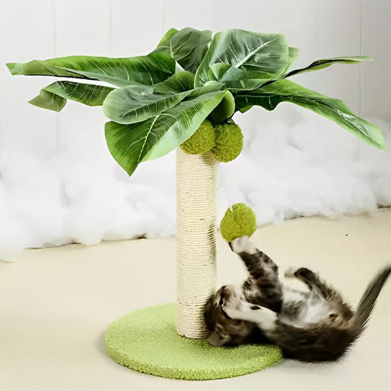 Griffoir Pour chat interactf