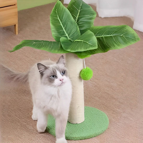 Griffoir Pour chat tropical
