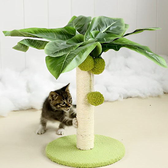 Griffoir Pour chat petit