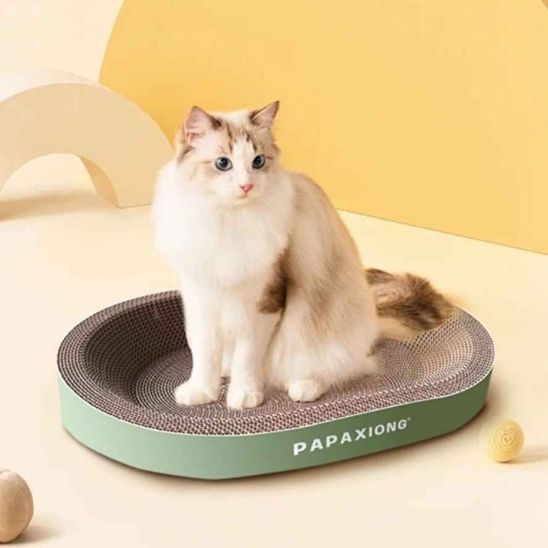 Griffoir carton chat reststant