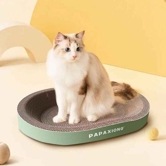 Griffoir carton chat reststant