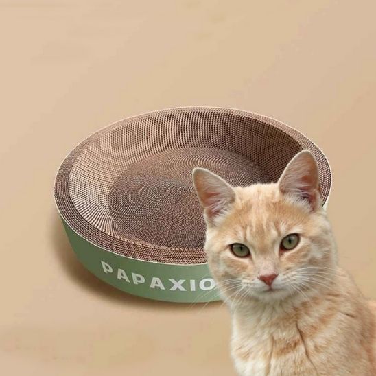 Griffoir carton chat rond