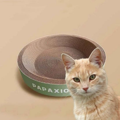 Griffoir carton chat rond