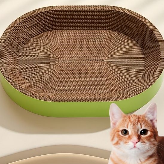 Griffoir carton chat vert