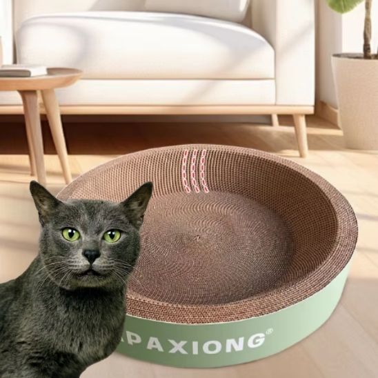 Griffoir carton chat ovale