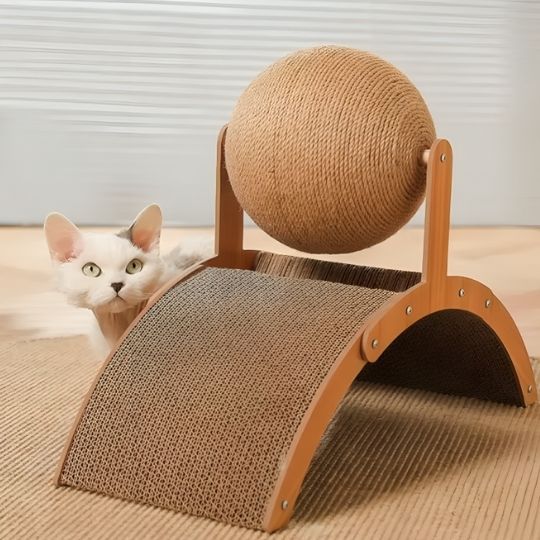 Griffoir chat Carton  Design Multiple 1