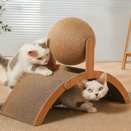 Griffoir chat Carton  Design Multiple 2