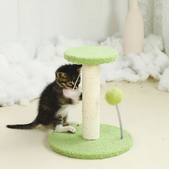 Griffoir chat Sisal  Griffe Premium petit vert