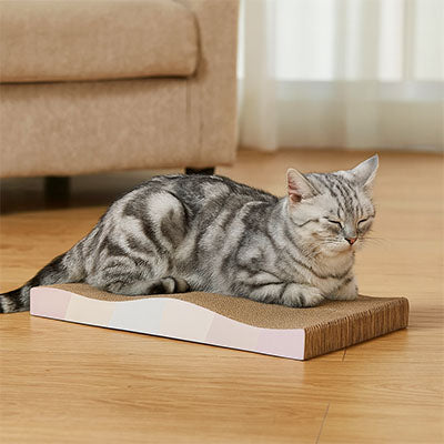 Griffoir en carton pour Chat  ÉcoDurable