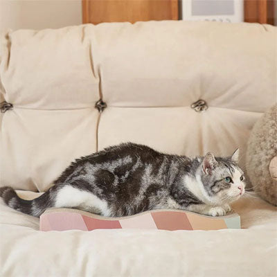 Griffoir en carton pour Chat  ÉcoDurable sauveur de canapé