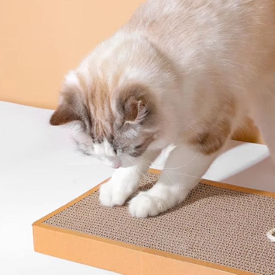 Griffoir en carton pour chat  Design Souris résistante