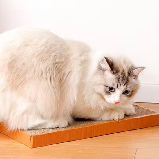 Griffoir en carton pour chat  Design Souris confortable