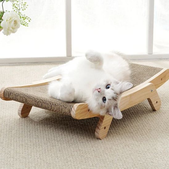 Griffoir en carton pour chat  Protecteur horizontal