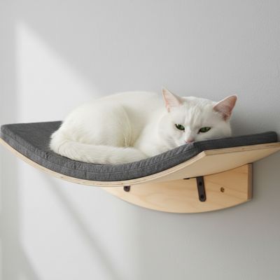 Hamac Mural chat  avec coussin