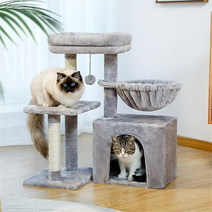 petit arbre à chat gris