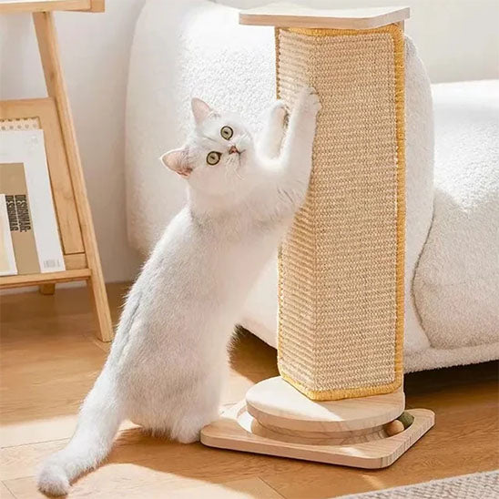 Tapis Griffoir chat collant