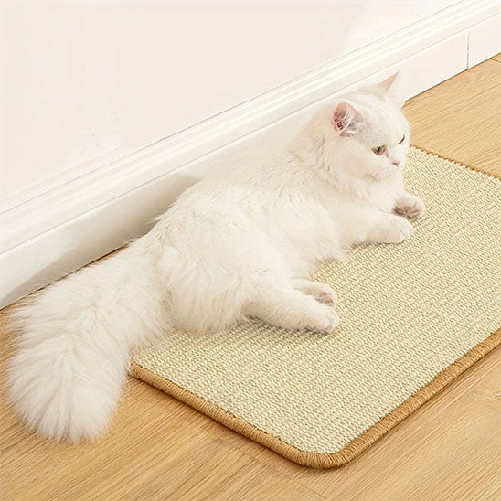 Tapis Griffoir chat petit