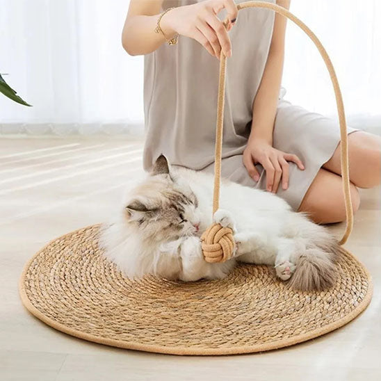 Tapis griffoir chat TapisDesign amusant