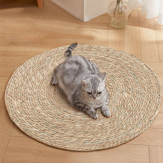 Tapis griffoir chat TapisDesign robuste