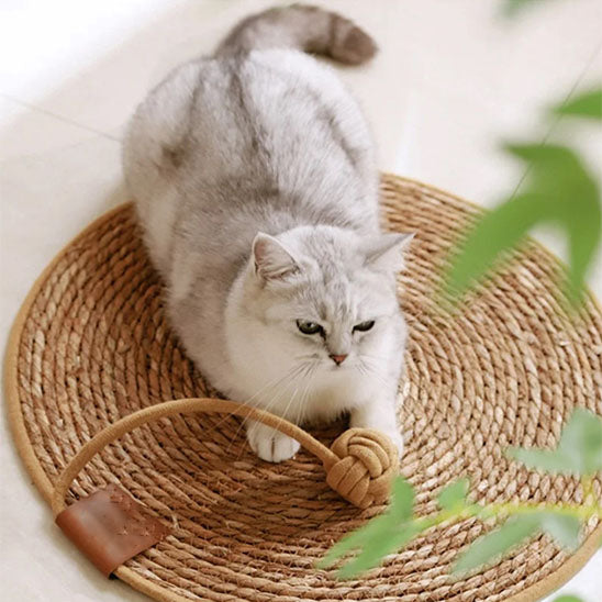 Tapis griffoir chat TapisDesign sisal