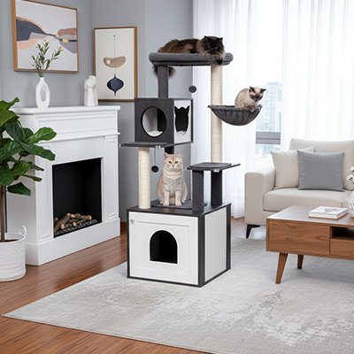 Arbre a Chat en bois confortable