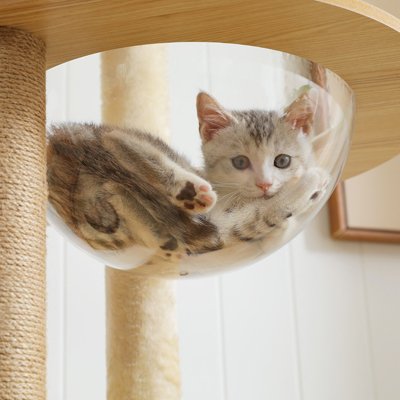 Arbre a Chat en bois dodo bulle