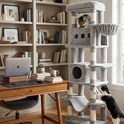 Arbre à Chat luxueux