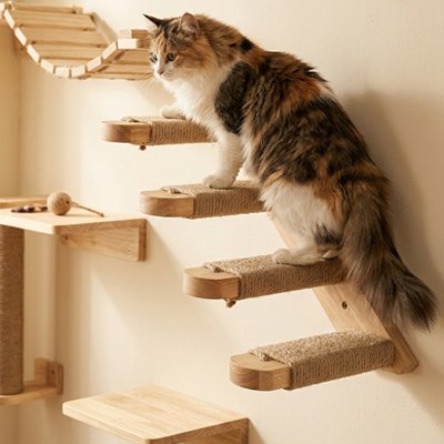 Arbre a Chat mural escalier