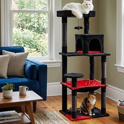 Arbre à Chat rouge