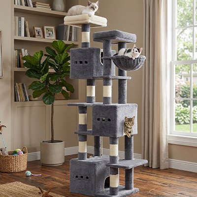 Arbre à Chat tout inclus