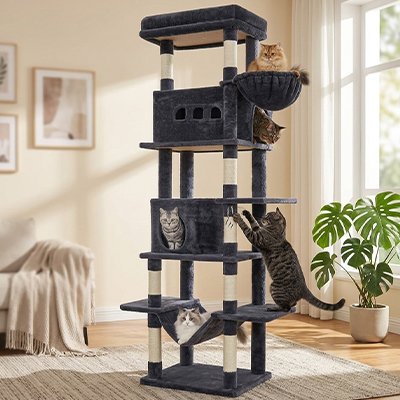 Arbre à Chat xxl très haut