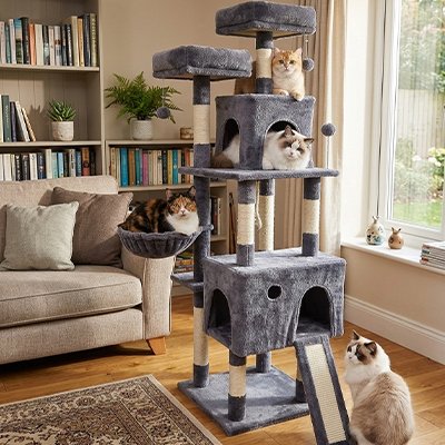 Arbre a Chats gris foncé