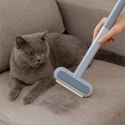 Brosse anti poil pour divan