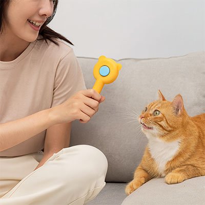 Brosse chaton auto nettoyante