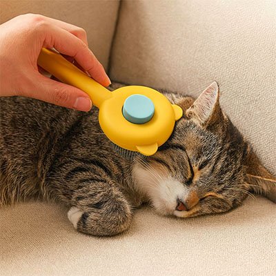 Brosse chaton douceur