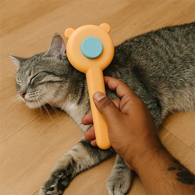 Brosse chaton facile